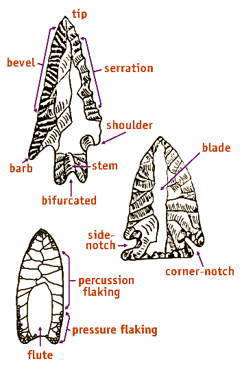 Image showing the different parts of flint artifacts